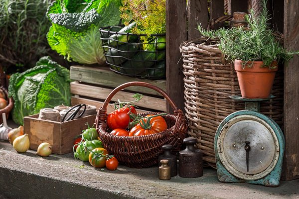 Quali sono gli step per organizzare un festival letterario dedicato ai giovani autori emergenti?